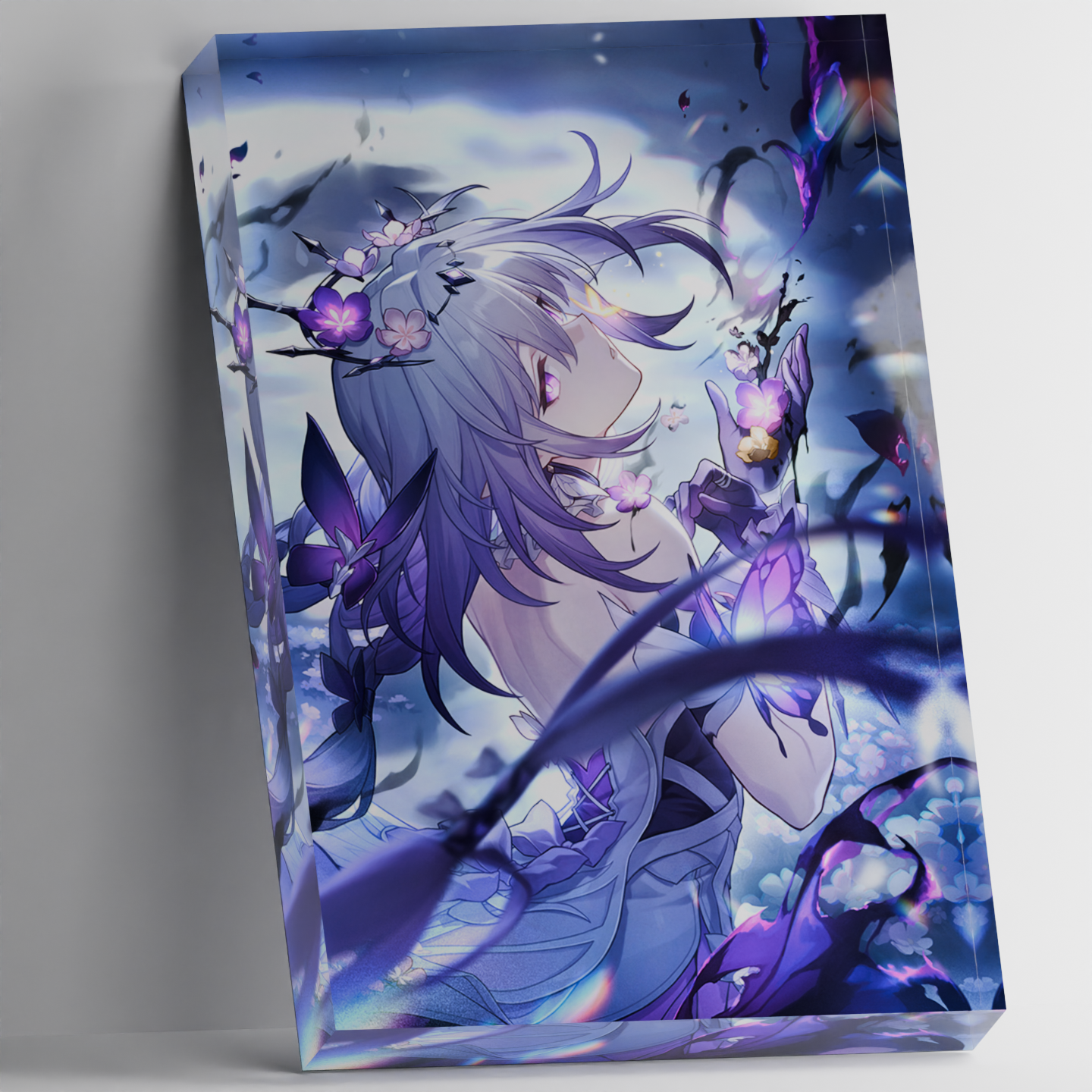 Custom Acrylic Photo Block Hon - Photo Acrylic Block recensie en prijs